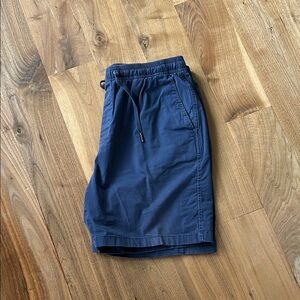 GAP Men's Deep Blue Flat Front Shorts